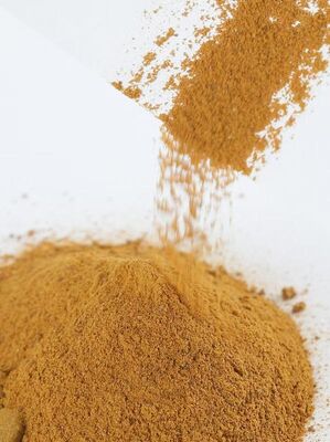 POLİDİHİDROKSİİNDOL—Melamin