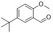 5-Tert-butyl-2-OMebenzaldehid