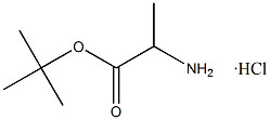 Tert-Butyl L-Alaninate Hidroklorür CAS. 13404-22-3 Beyaz To Off-Beyaz Toz Saflığı 98% Erime Noktası 168-175 °C