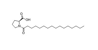 % 95 Palmitoyl-L-Proline Beyaz To Off Beyaz To White Powder 59441-32-6